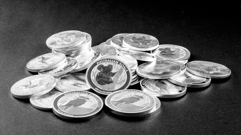 silver coi 1024x576